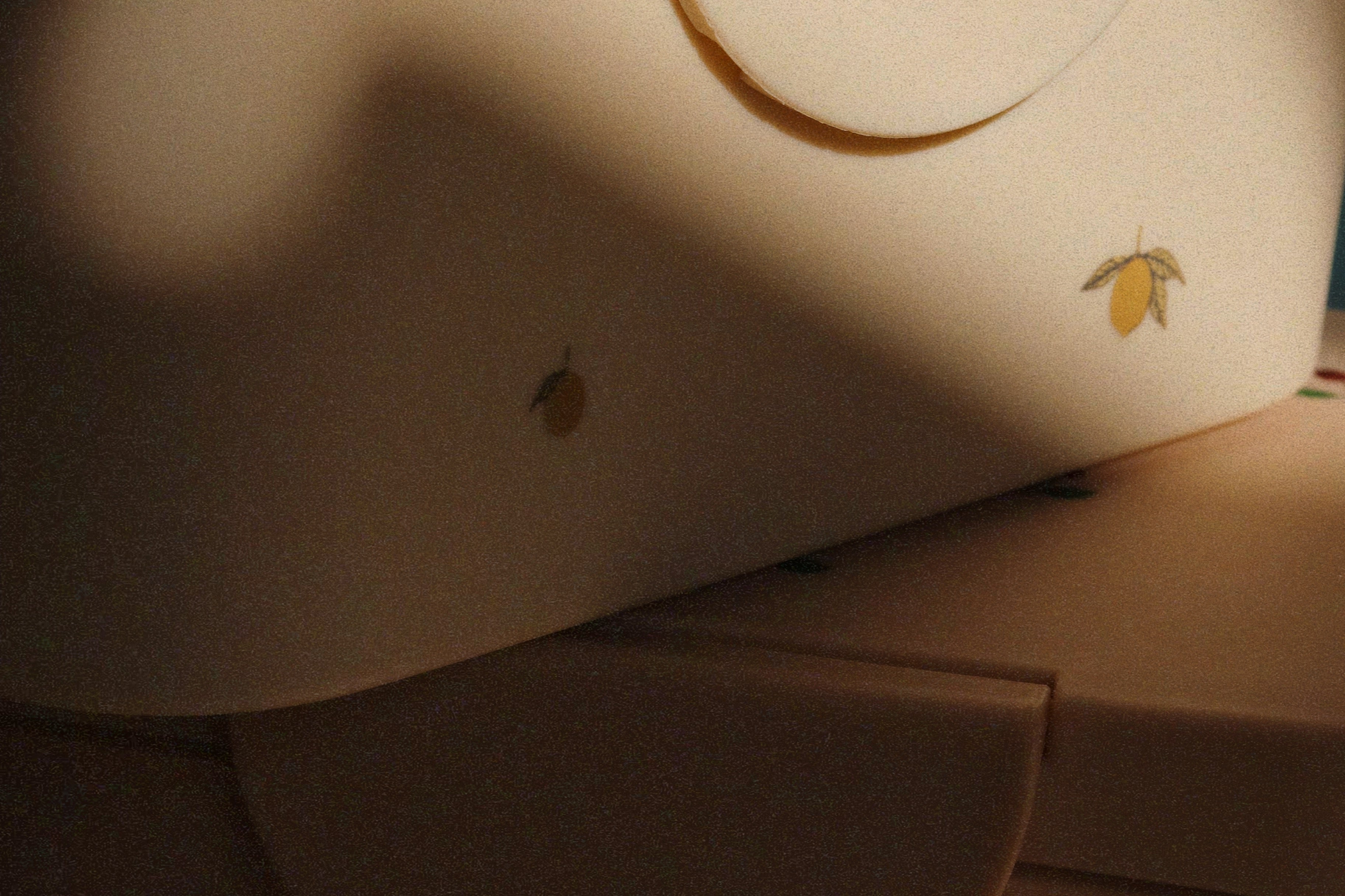 Konges Sløjd A/S Madkasser lemon