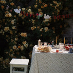 Konges Sløjd A/S Fødselsdag & dekoration nature