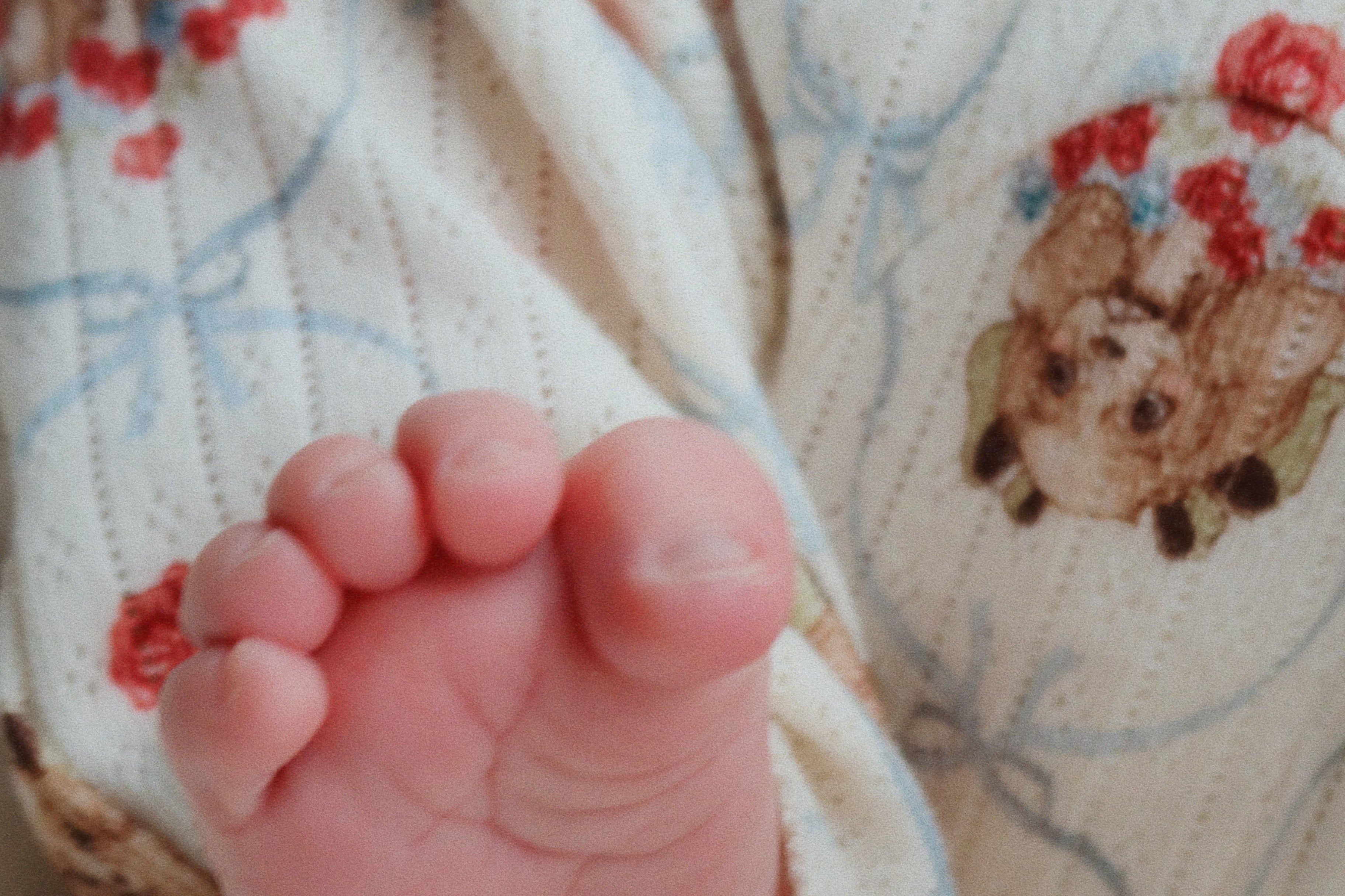 Konges Sløjd A/S Bukser - Jersey puppy