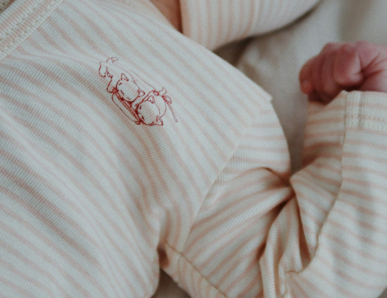 Konges Sløjd A/S ONESIES tea stripe cameo