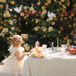 Konges Sløjd A/S BIRTHDAY multi