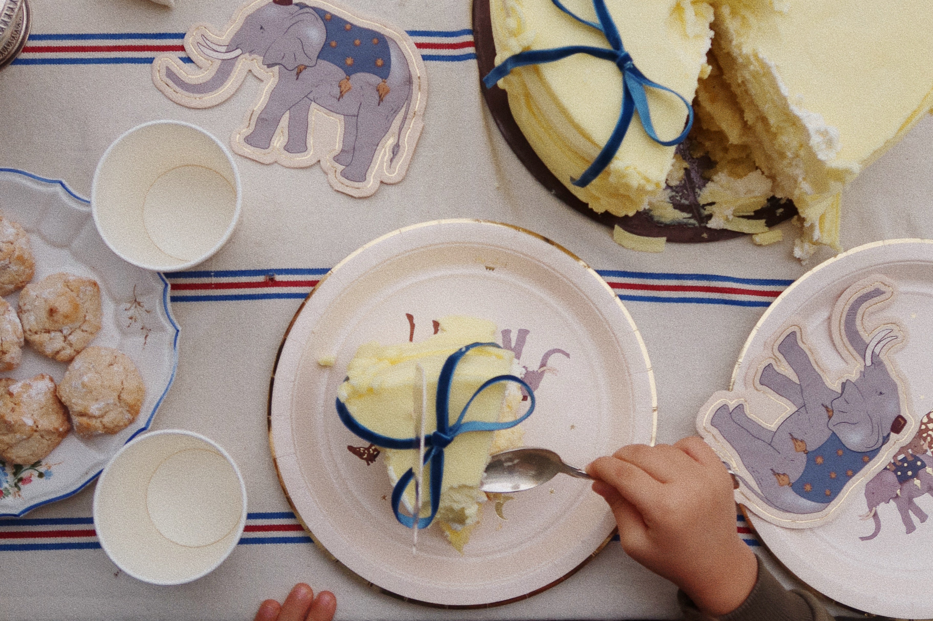 Konges Sløjd A/S BIRTHDAY safari