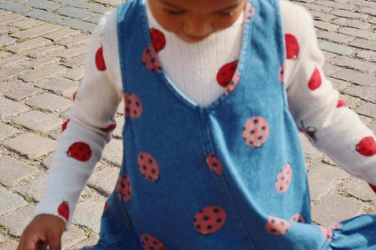 Konges Sløjd A/S Bluser - Jersey ladybug