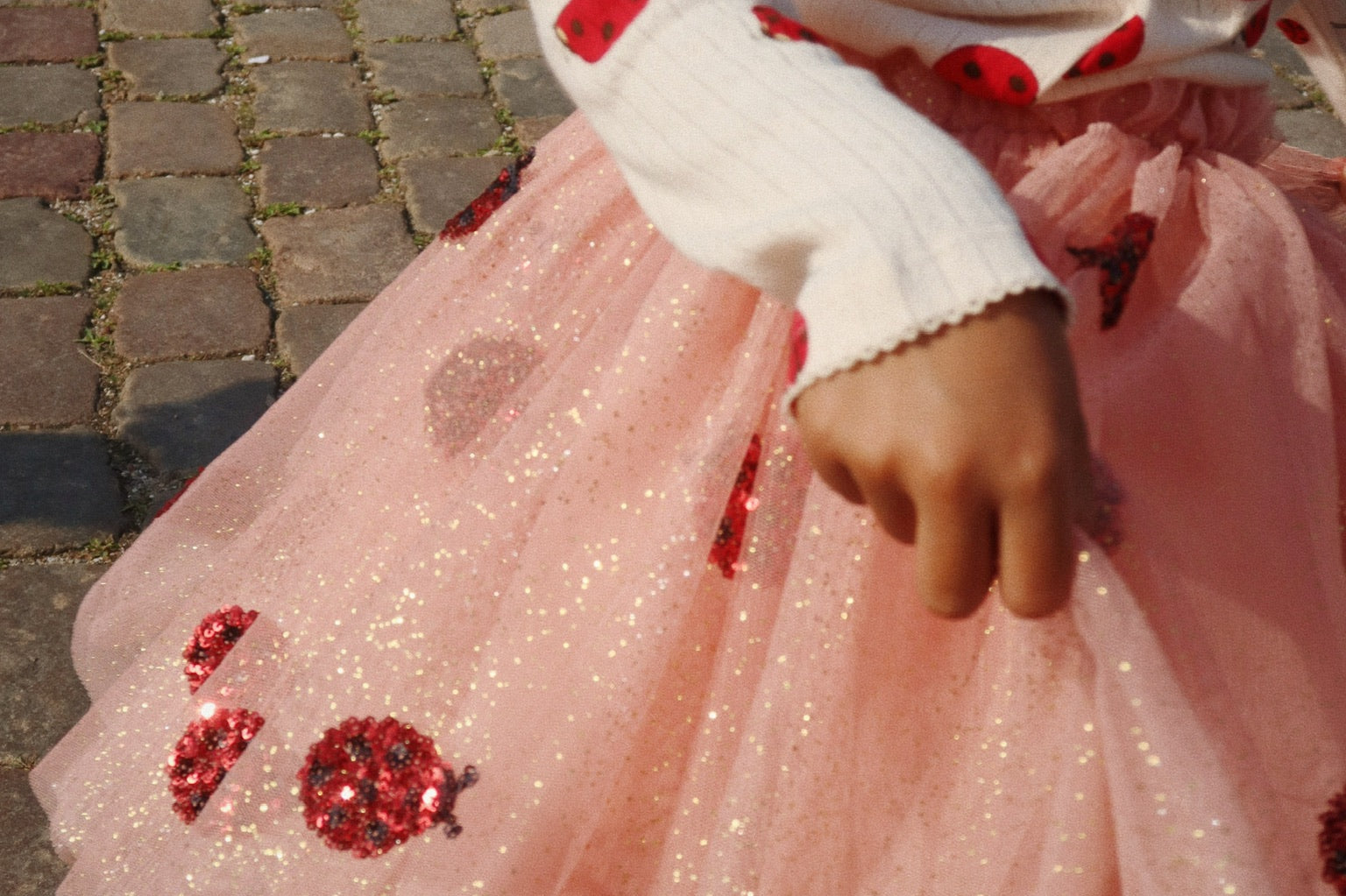 Konges Sløjd A/S Bluser - Jersey ladybug