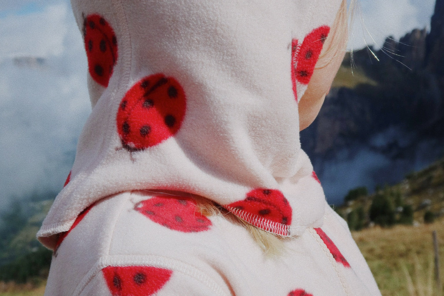 Konges Sløjd A/S Elefanthuer ladybug