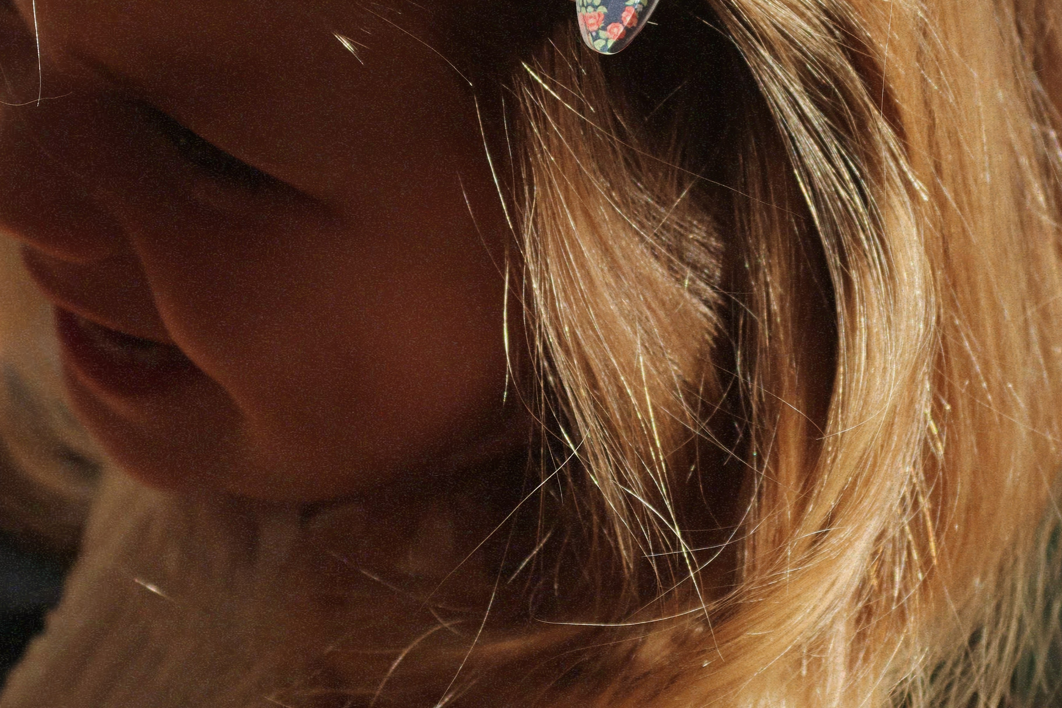 Konges Sløjd A/S Håraccessories puppy