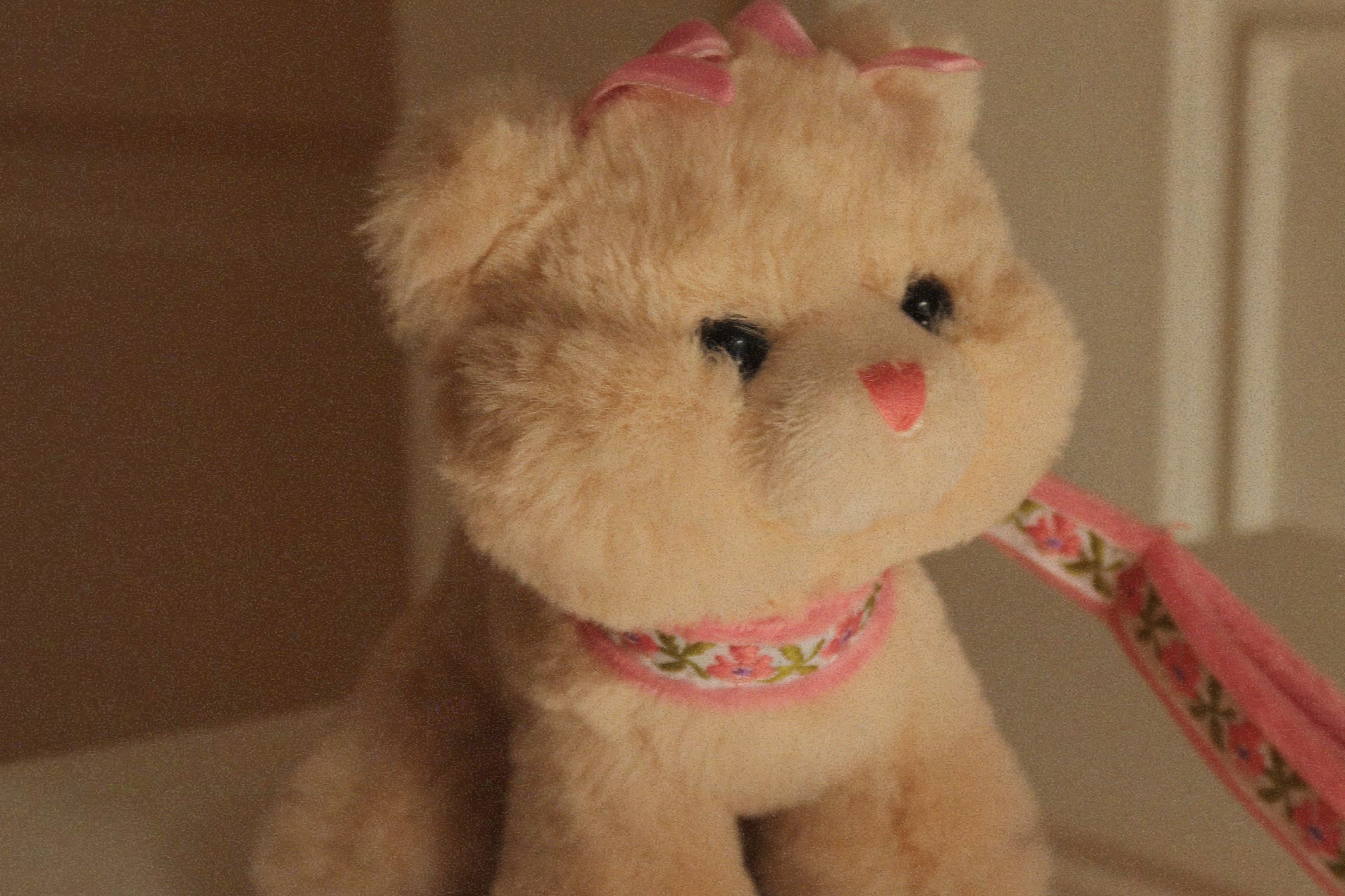 Konges Sløjd A/S Bamser cat