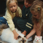 Konges Sløjd A/S Bluser - Jersey pine grove