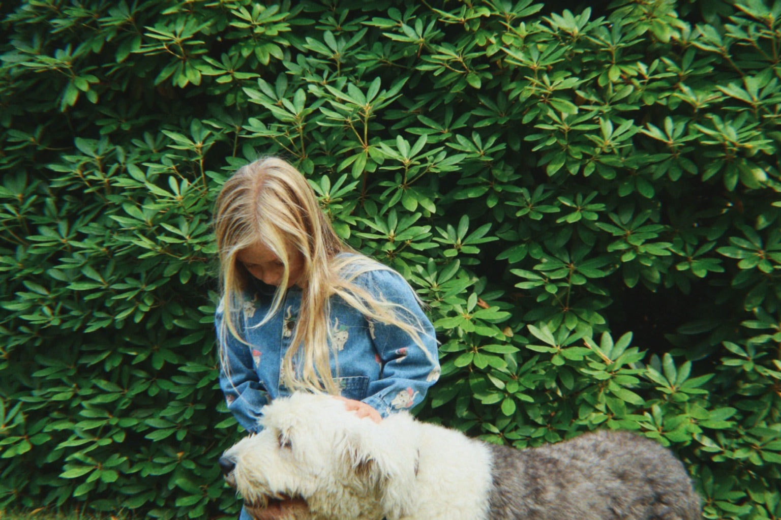 Konges Sløjd A/S Bukser - Vævet bow kitty denim