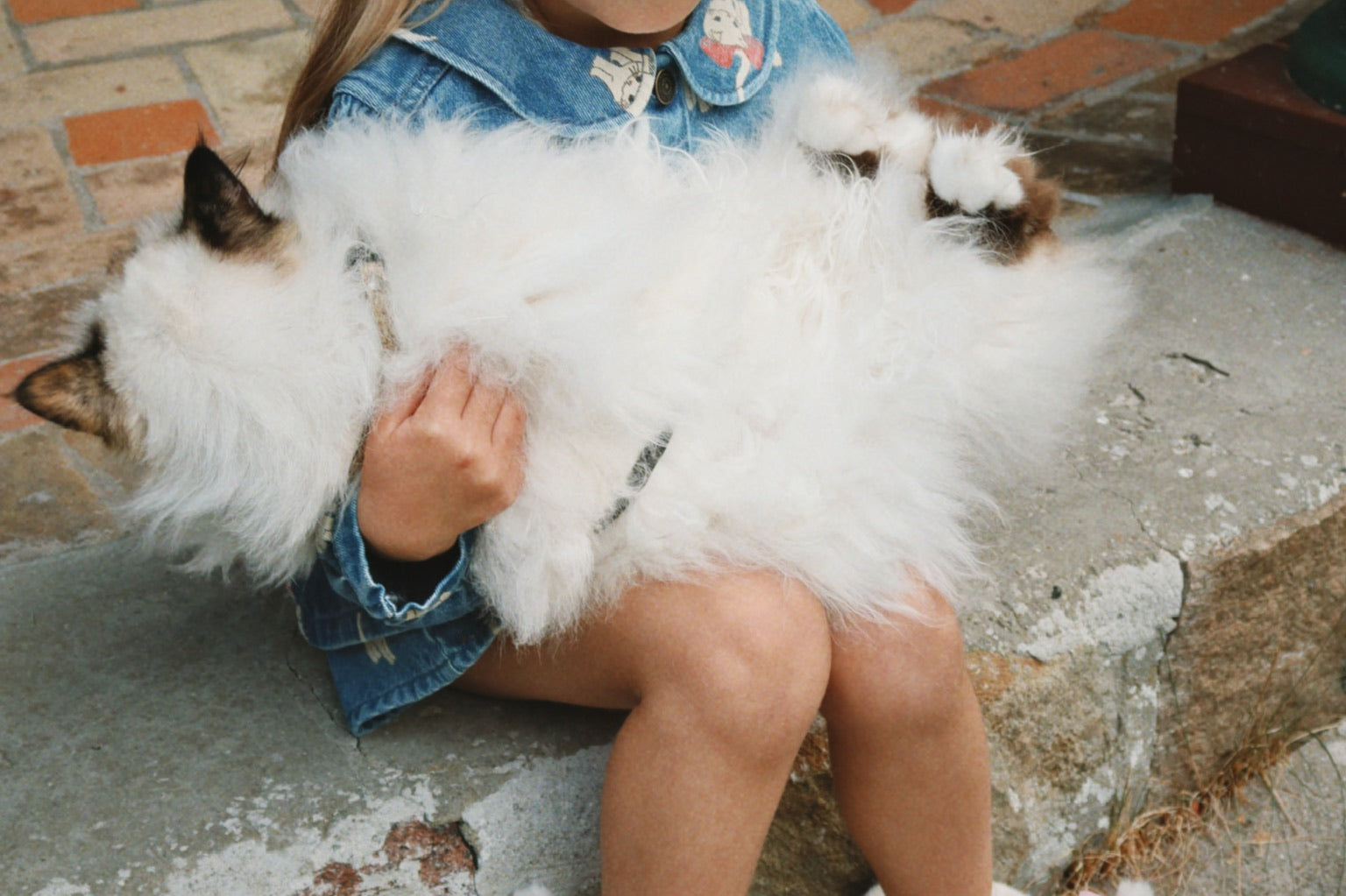 Konges Sløjd A/S Jakker og veste - Vævet bow kitty denim