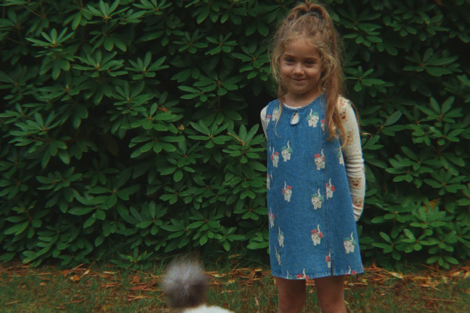 Konges Sløjd A/S Bluser - Jersey miao amore