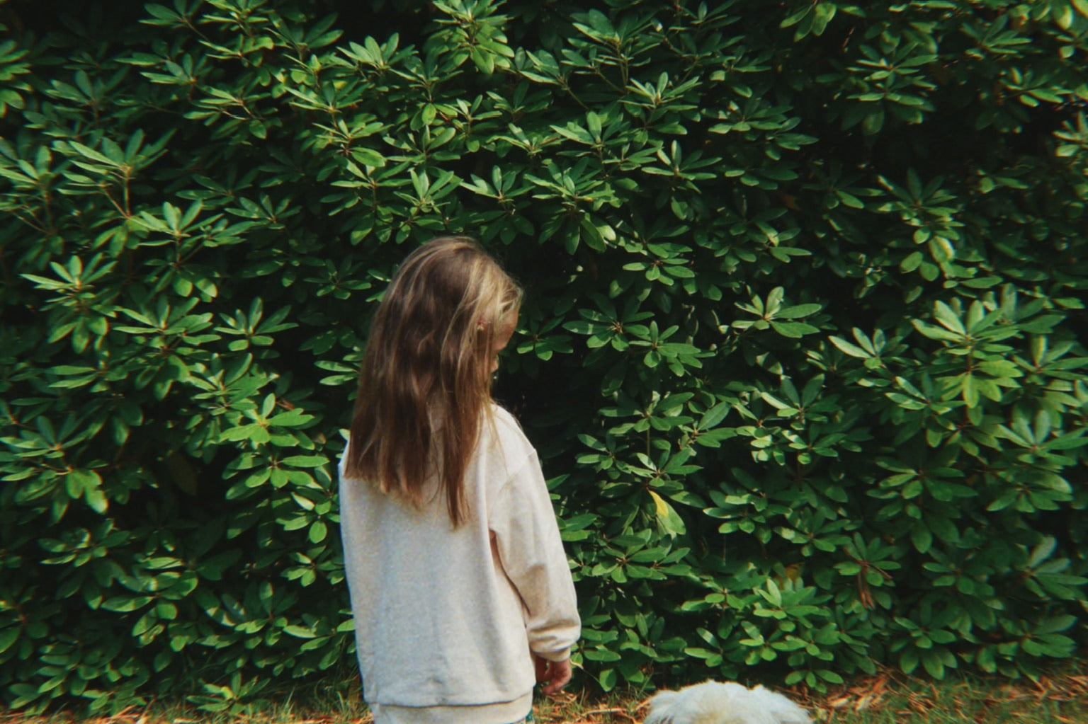 Konges Sløjd A/S Bluser - Jersey family photo