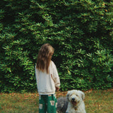 Konges Sløjd A/S Bukser - Vævet dot miao verde