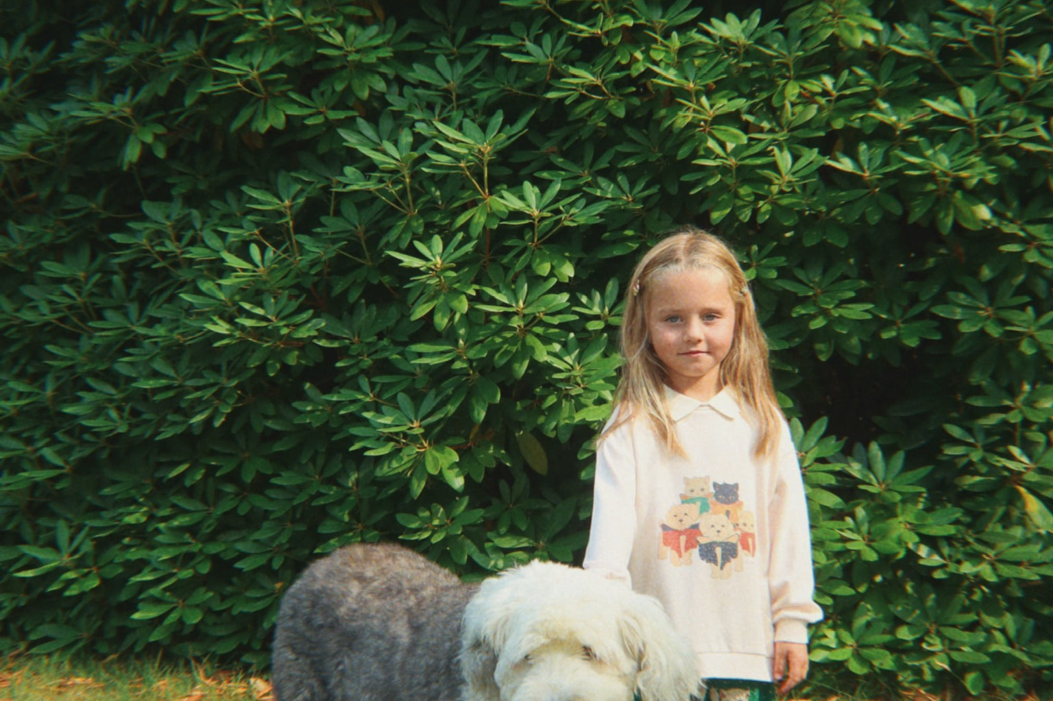 Konges Sløjd A/S Bluser - Jersey family photo