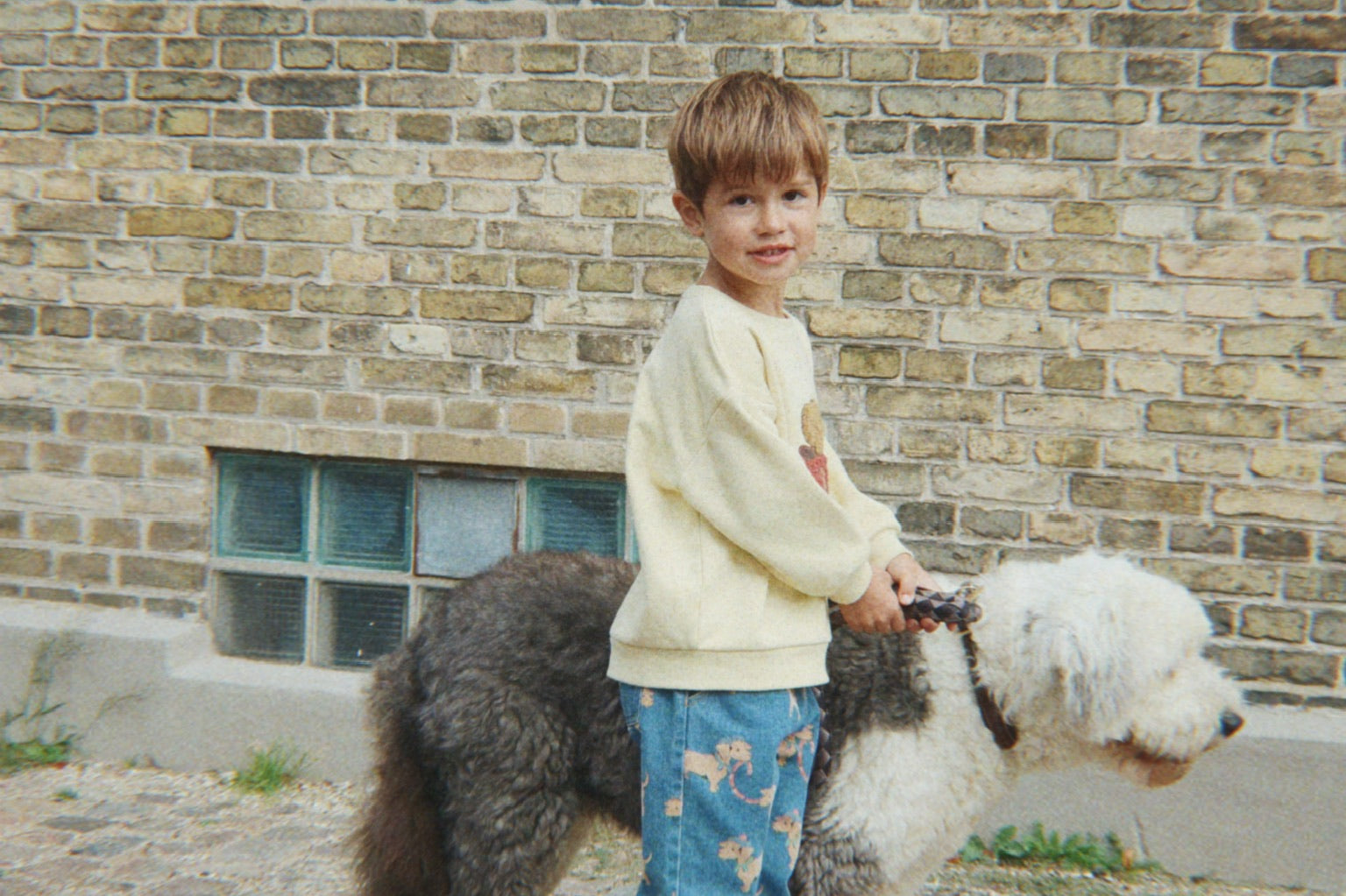 Konges Sløjd A/S Bluser - Jersey shake it