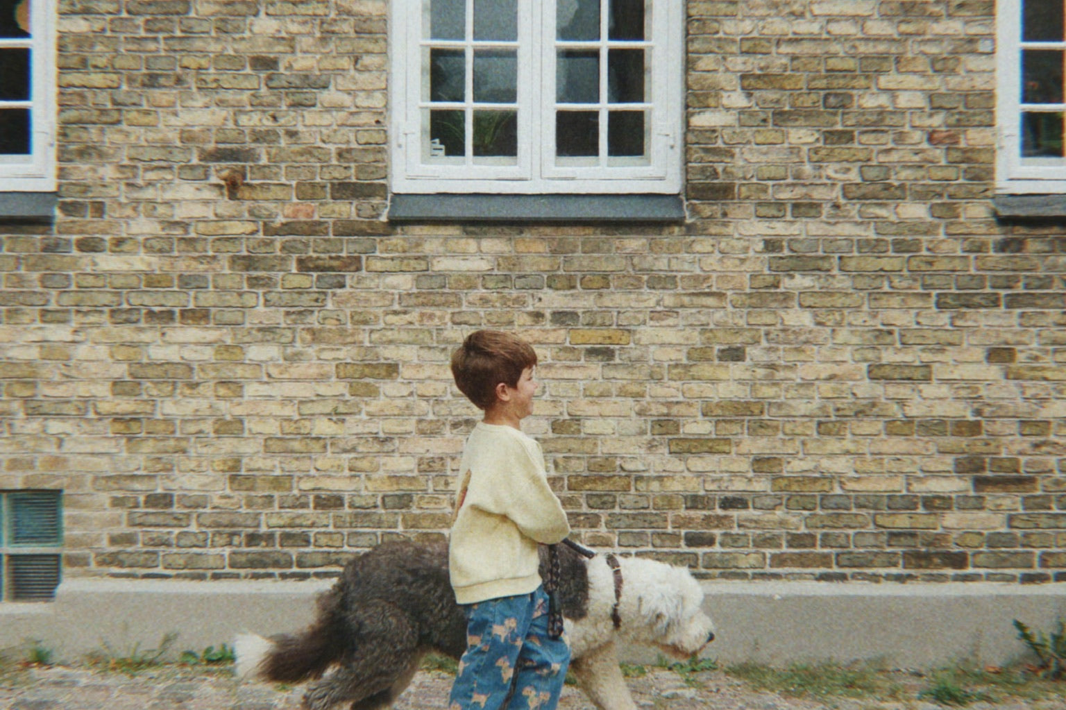 Konges Sløjd A/S Bluser - Jersey shake it