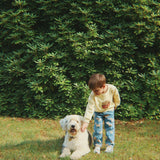 Konges Sløjd A/S Bukser - Vævet bassotto