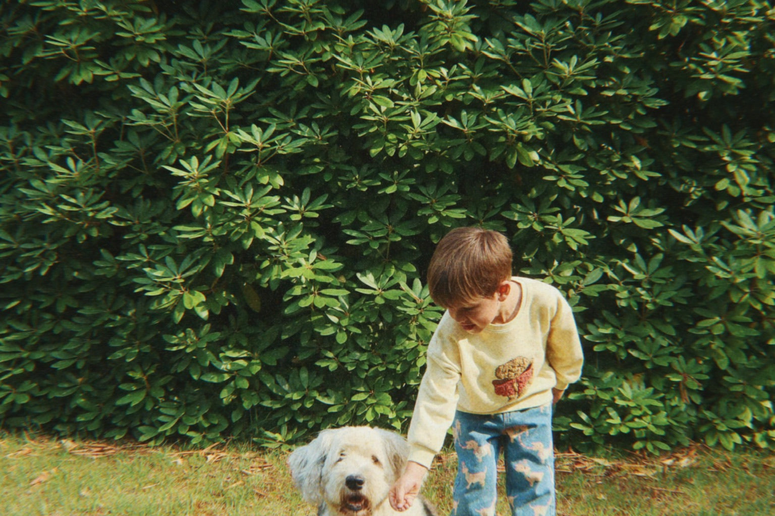 Konges Sløjd A/S Bluser - Jersey shake it