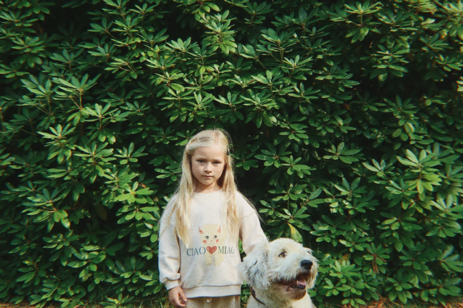 Konges Sløjd A/S Bluser - Jersey whisper pink