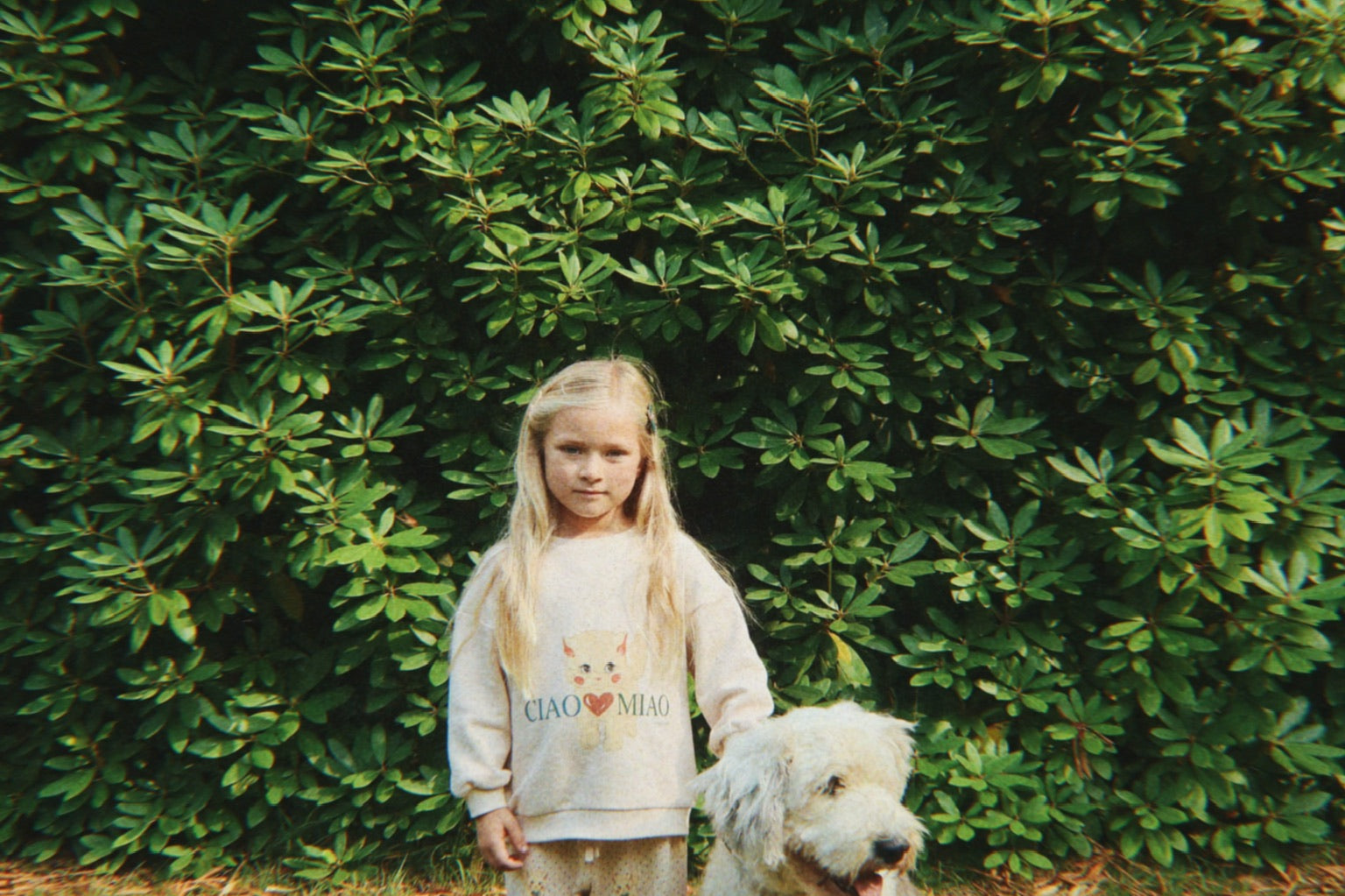 Konges Sløjd A/S Bluser - Jersey whisper pink