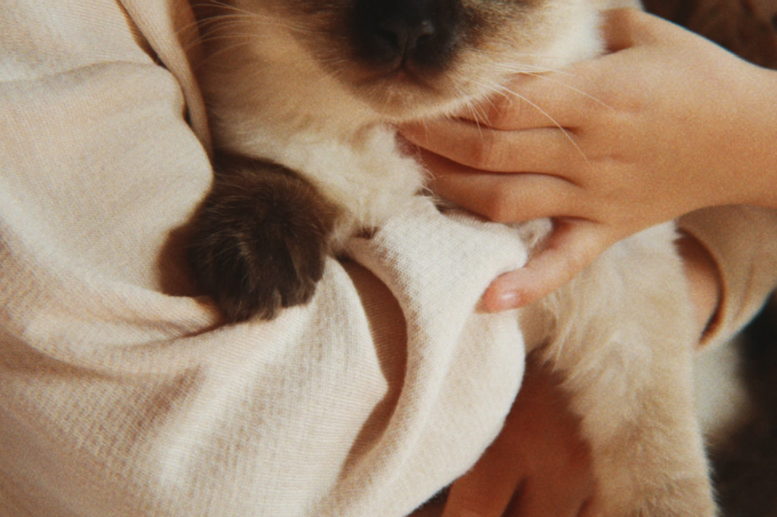 Konges Sløjd A/S Bluser - Jersey whisper pink