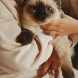 Konges Sløjd A/S Bukser - Jersey miao amore