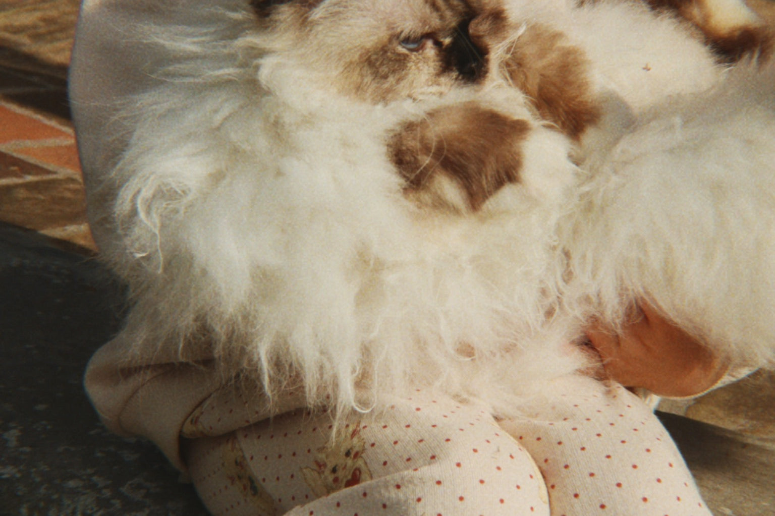 Konges Sløjd A/S Bluser - Jersey whisper pink