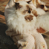 Konges Sløjd A/S Bukser - Jersey miao amore