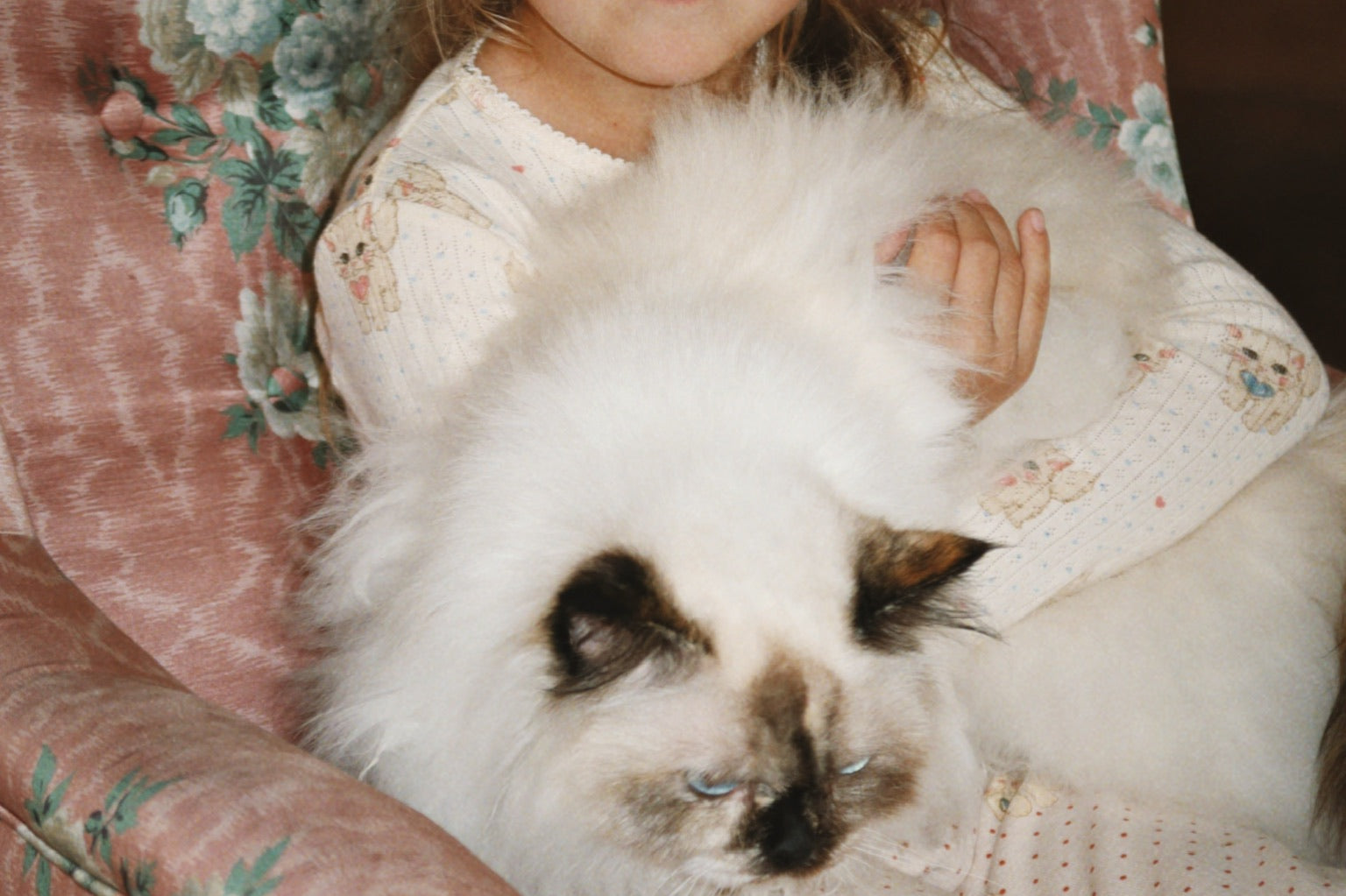 Konges Sløjd A/S Bukser - Jersey miao amore