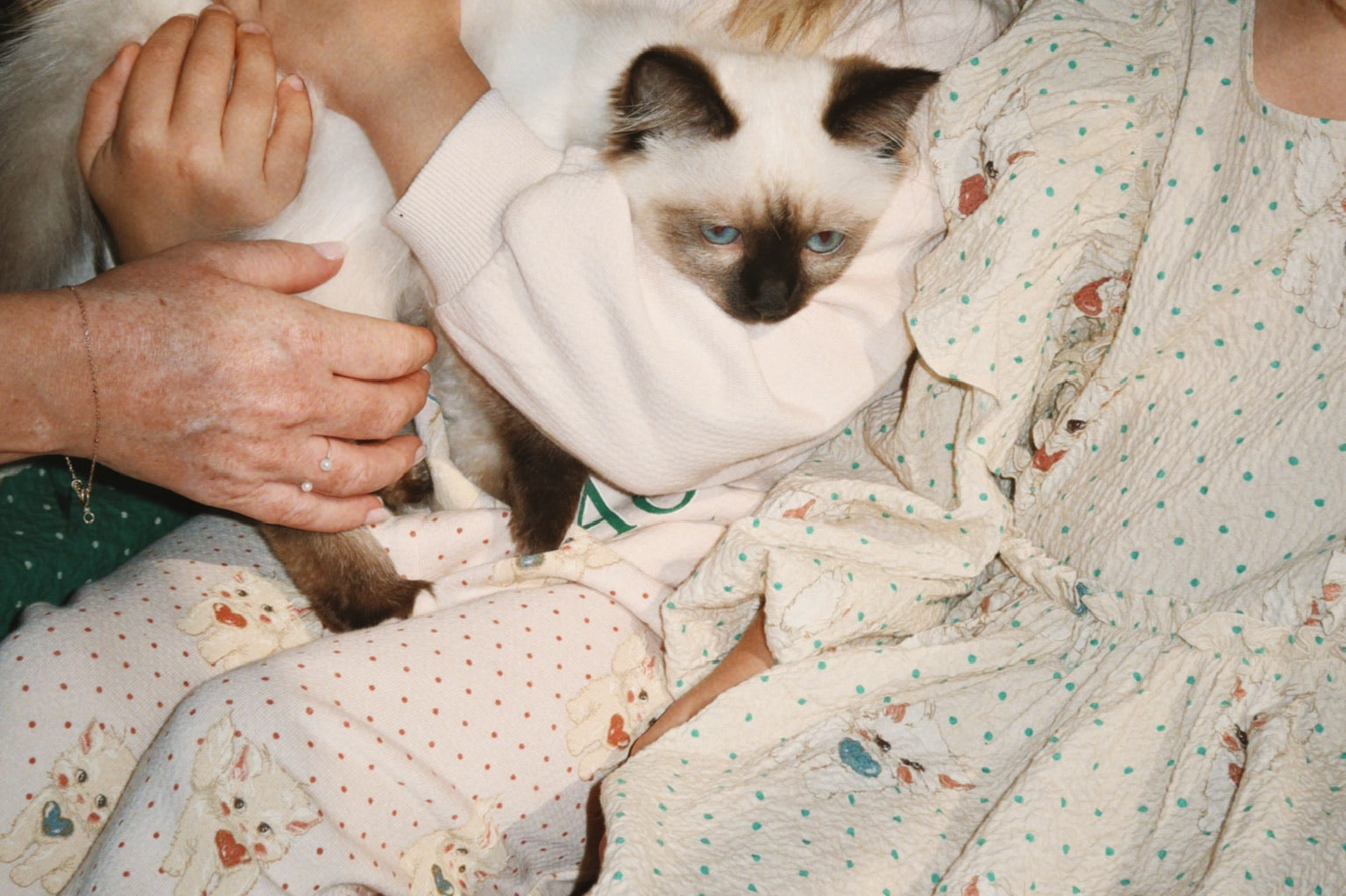 Konges Sløjd A/S Bukser - Jersey miao amore