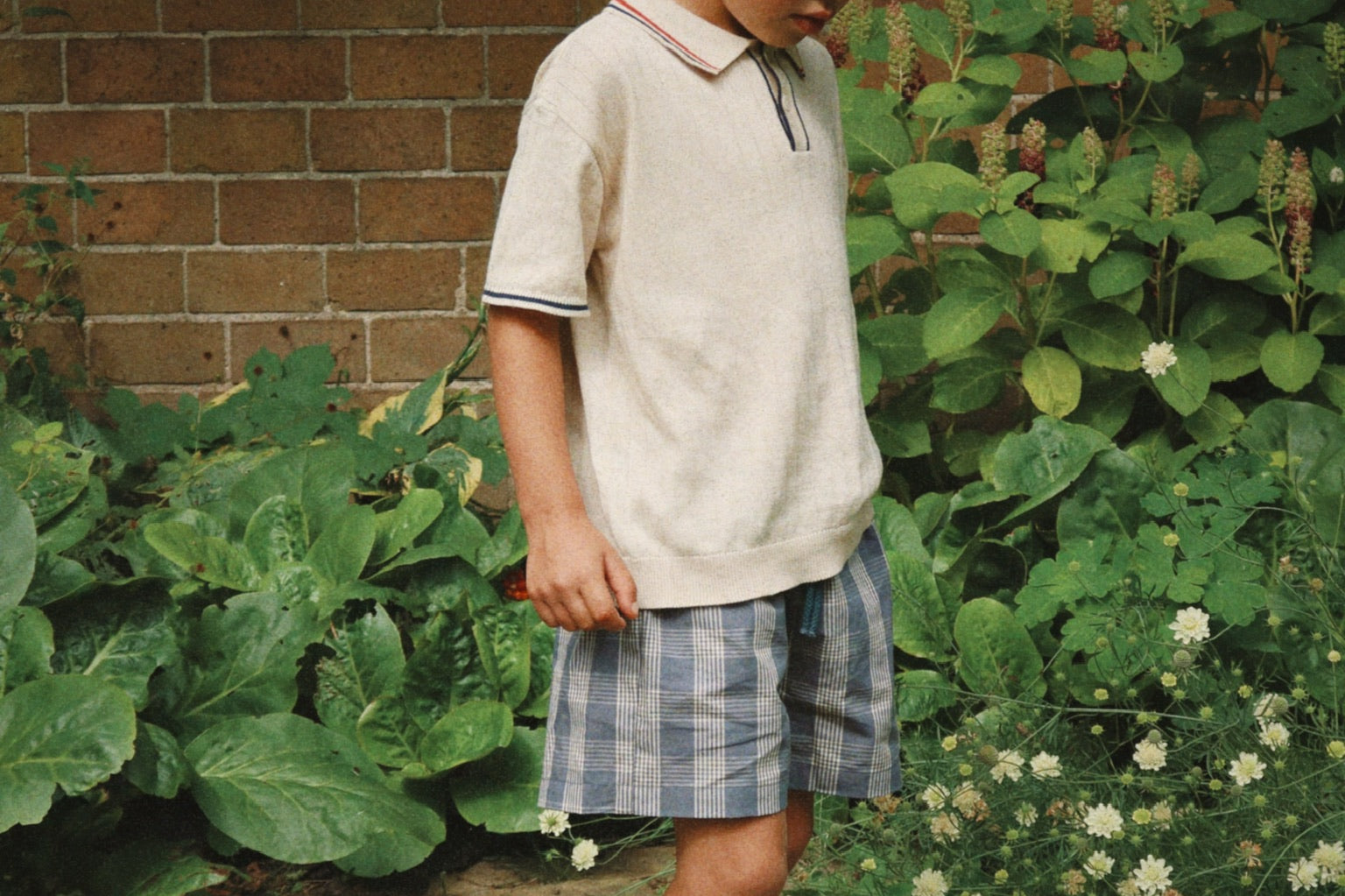Konges Sløjd A/S WOVEN SHORTS & BLOOMERS flint check/cilantro