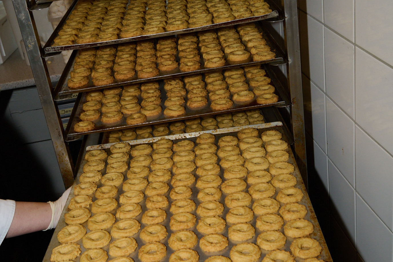 Konges Sløjd A/S Bluser - Jersey eden