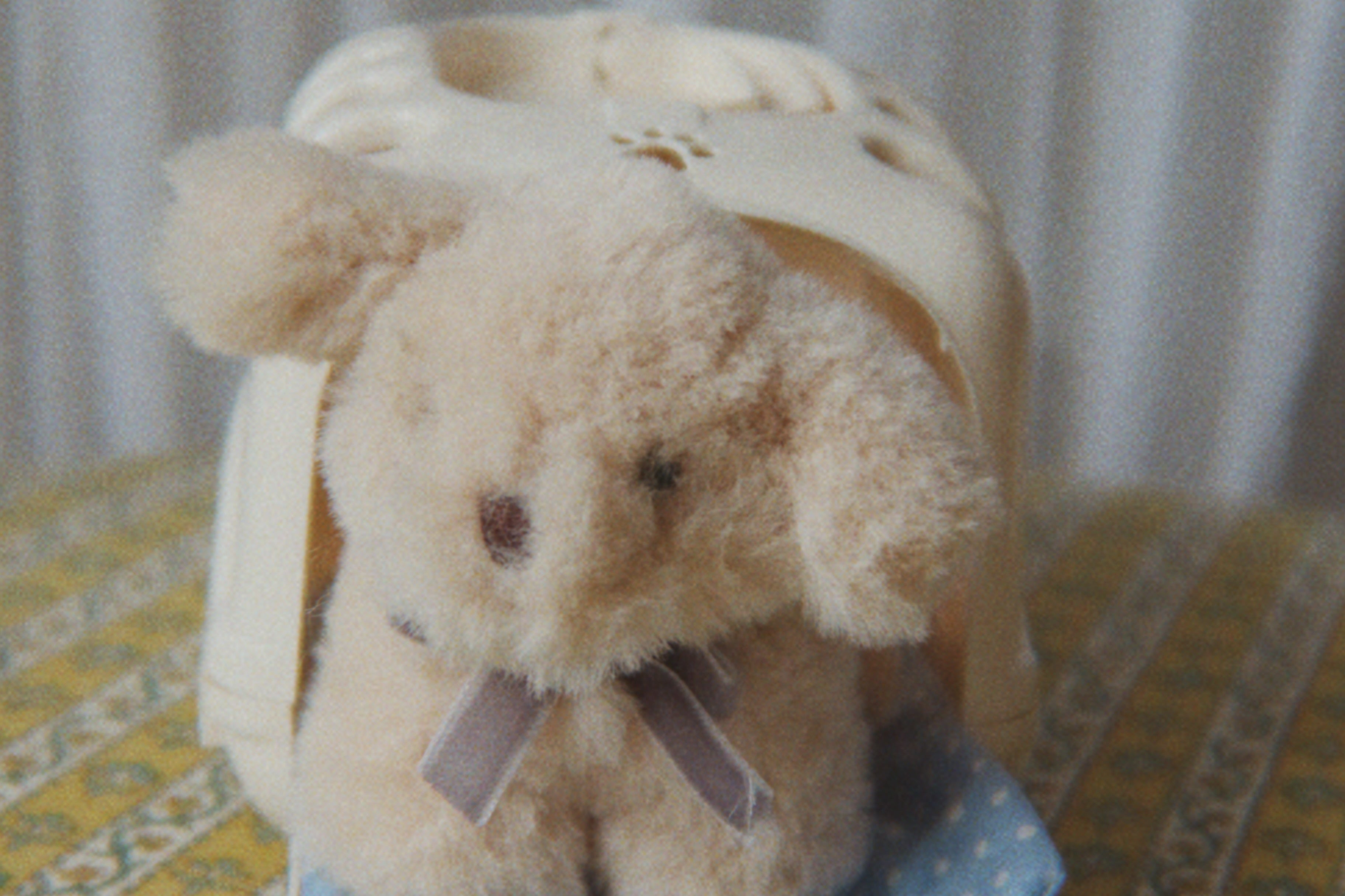 Konges Sløjd A/S TEDDY BEARS dog
