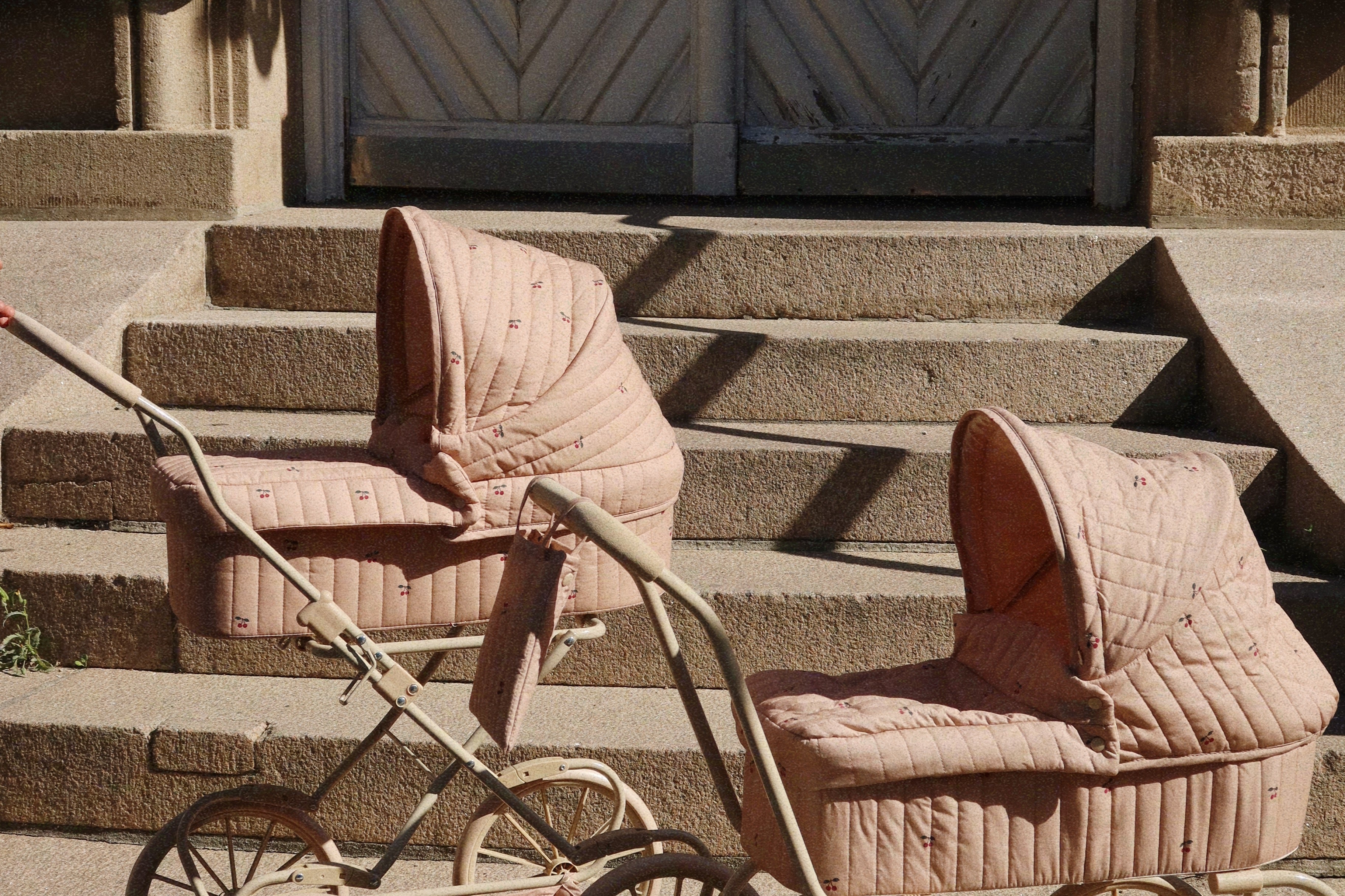 BASIC 2 RING POOL SMALL - tiger – kongessloejd.com