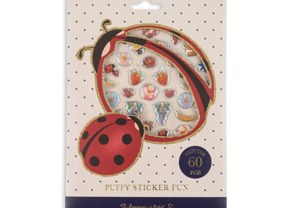 Konges Sløjd A/S Kreativ leg ladybug